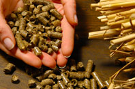 free Parr biomass boiler quotes